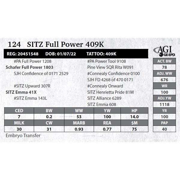 SITZ Full Power 409K