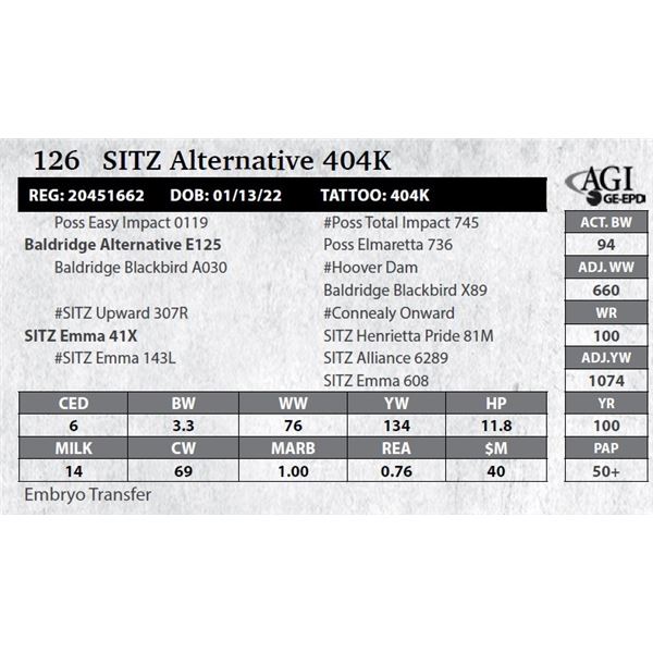 Sitz Alternative 404K