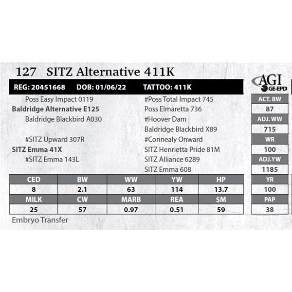 Sitz Alternative 411K