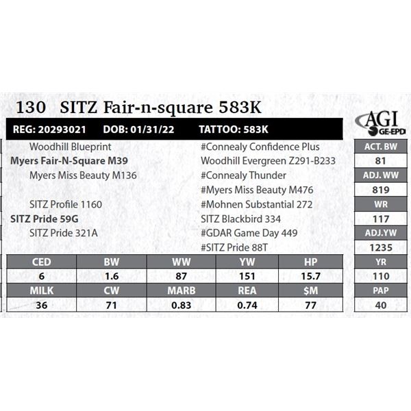 Sitz Fair-n-square 583K