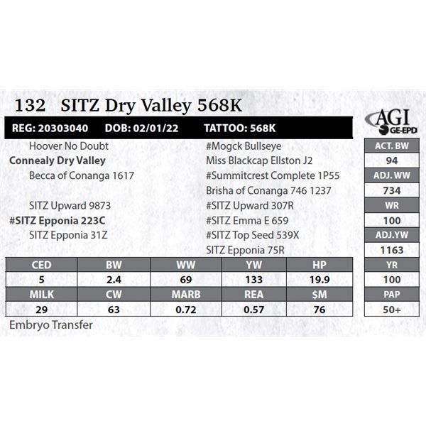 Sitz Dry Valley 568K