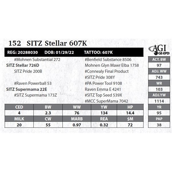 SITZ Stellar 607K