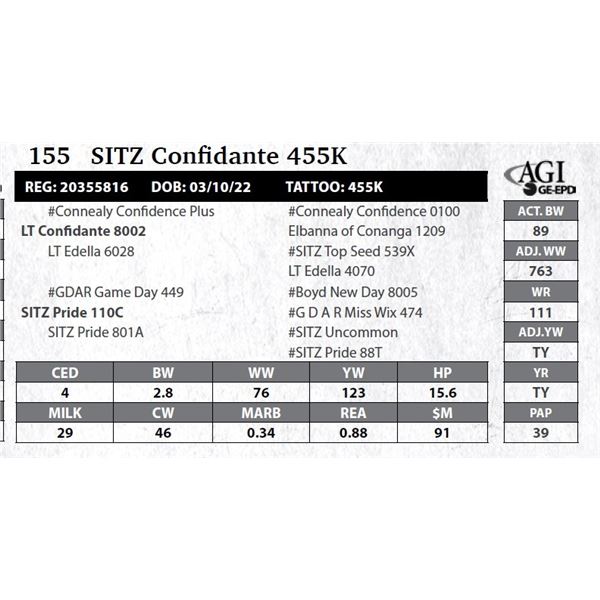 Sitz Confidante 455K