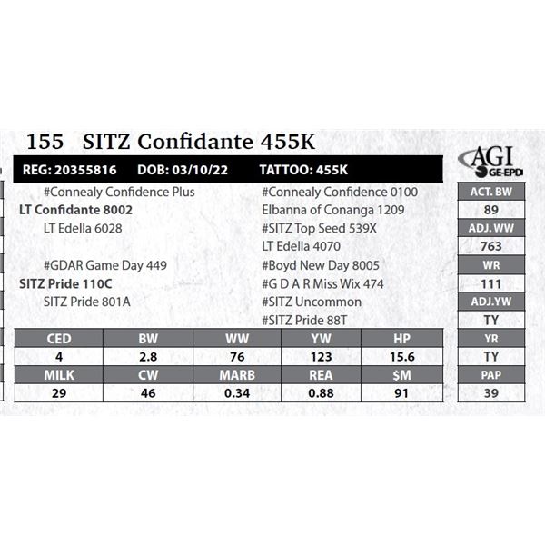 Sitz Confidante 455K