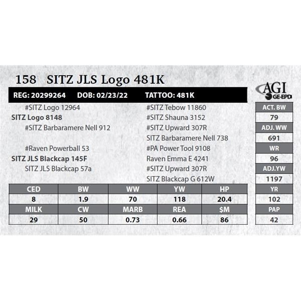 SITZ JLS Logo 481K