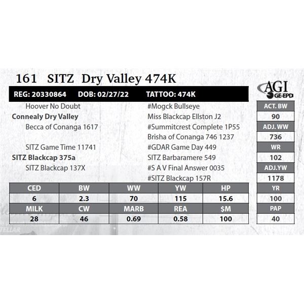 Sitz 474K