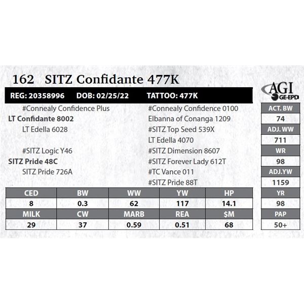 Sitz Confidante 477K