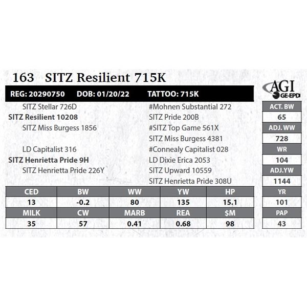 SITZ Resilient 715K