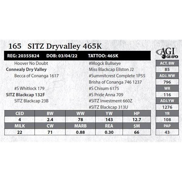 Sitz Dryvalley 465K