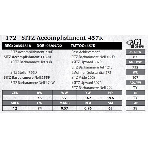 Sitz Accomplishment 457K