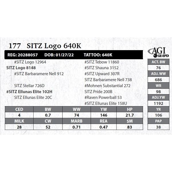 SITZ Logo 640K