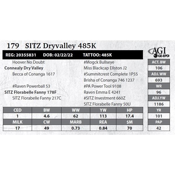 Sitz Dryvalley 485K