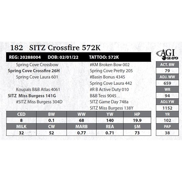 Sitz Crossfire 572K