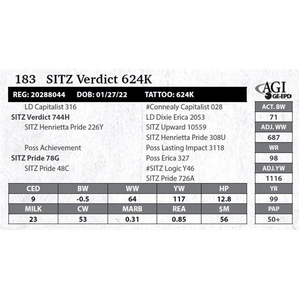 SITZ Verdict 624K