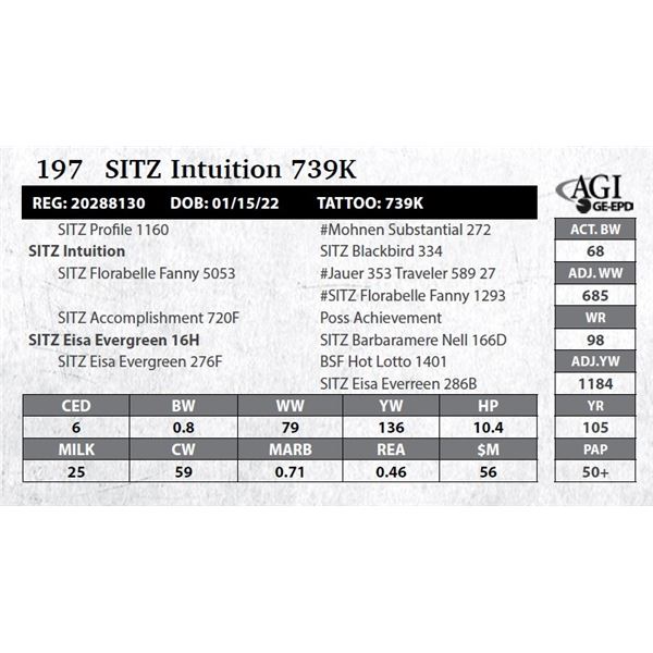 SITZ Intuition 739K