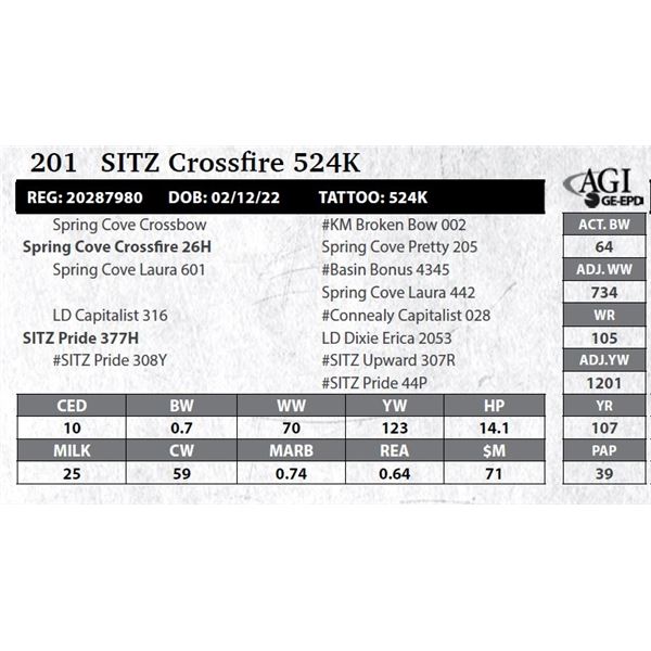 Sitz Crossfire 524K