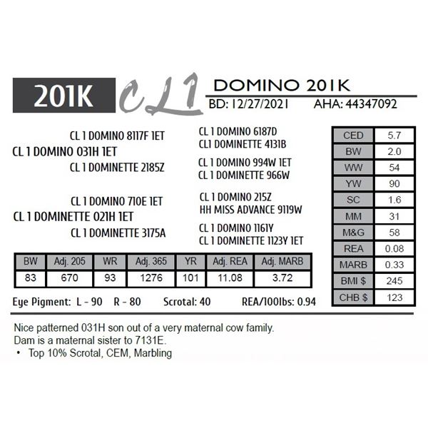 CL 1 DOMINO 201K