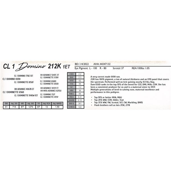 CL 1 DOMINO 212K 1ET
