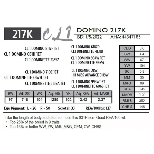 CL 1 DOMINO 217K