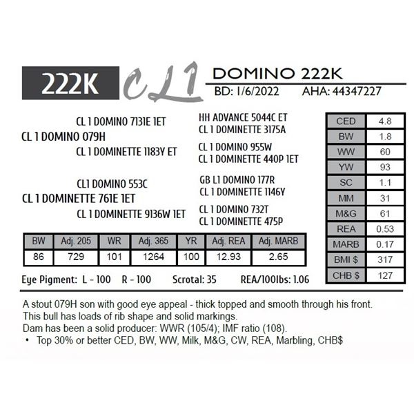 CL 1 DOMINO 222K