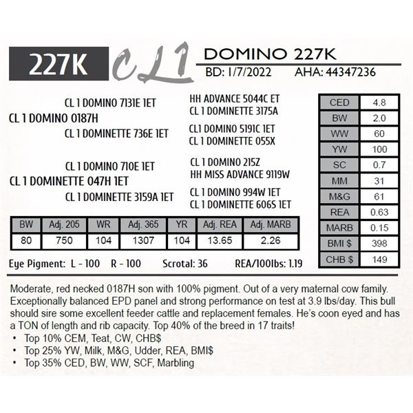 CL 1 DOMINO 227K