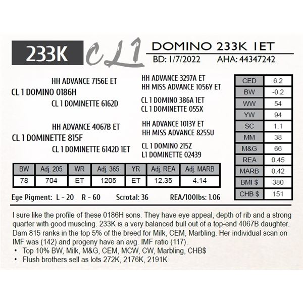CL 1 DOMINO 233K 1ET