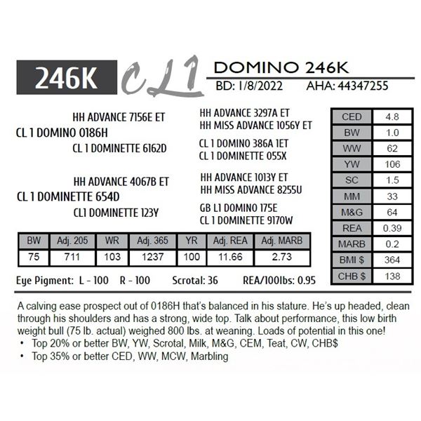 CL 1 DOMINO 246K