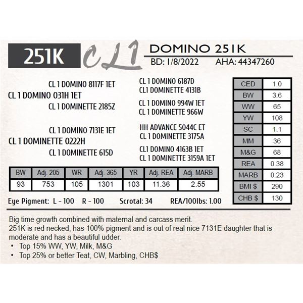 CL 1 DOMINO 251K