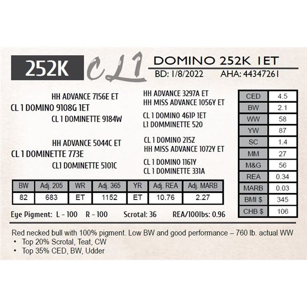 CL 1 DOMINO 252K 1ET