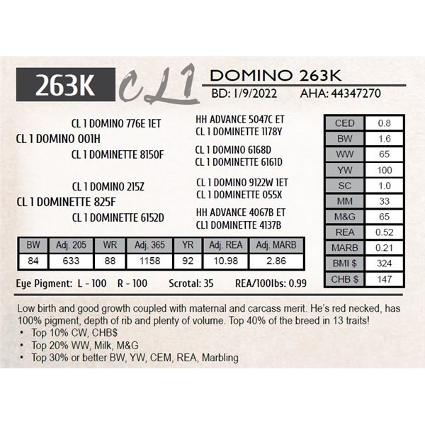 CL 1 DOMINO 263K