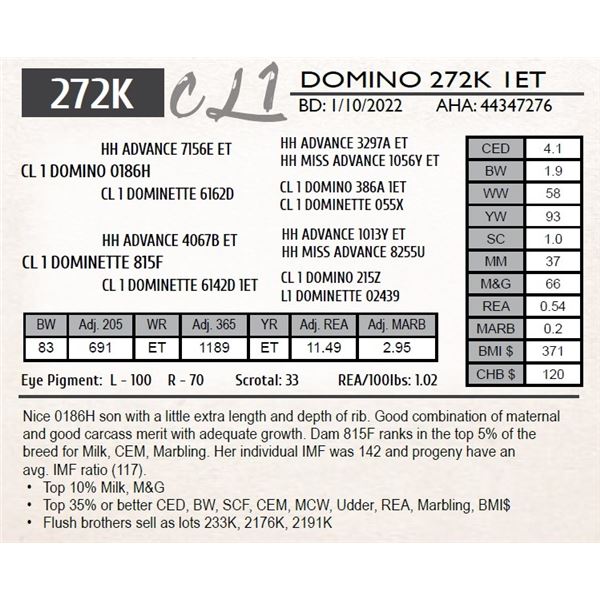 CL 1 DOMINO 272K 1ET
