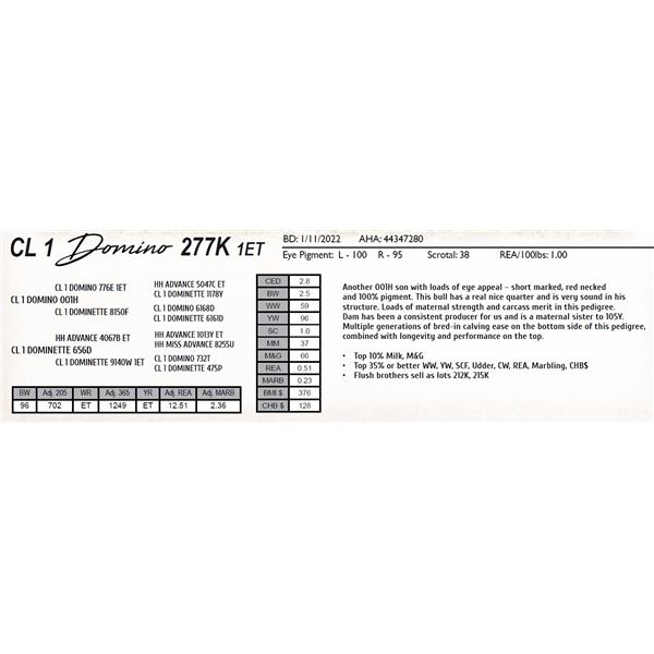CL 1 DOMINO 277K 1ET