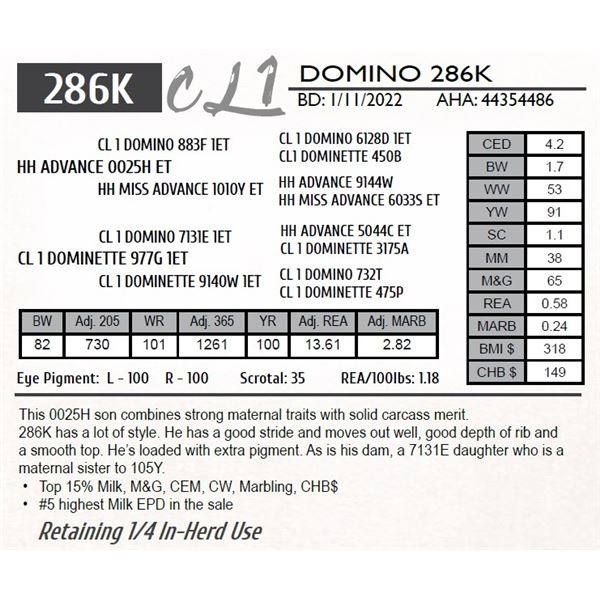 CL 1 DOMINO 286K