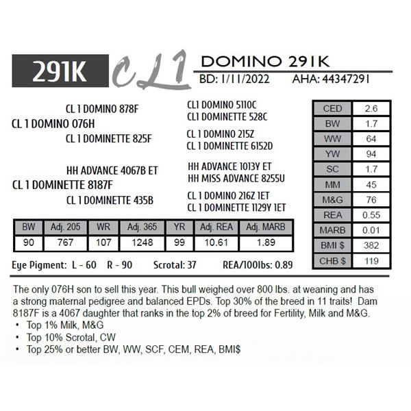 CL 1 DOMINO 291K