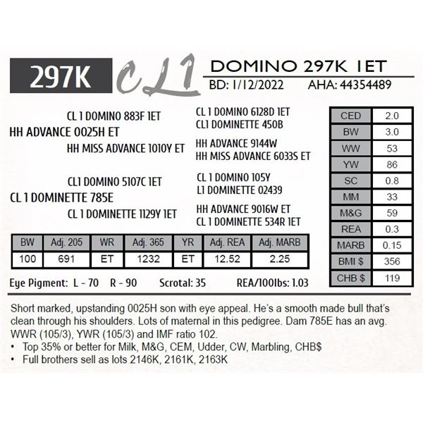 CL 1 DOMINO 297K 1ET