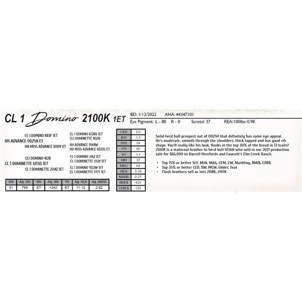 CL 1 DOMINO 2100K 1ET