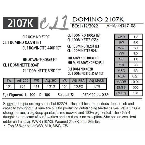 CL 1 DOMINO 2107K