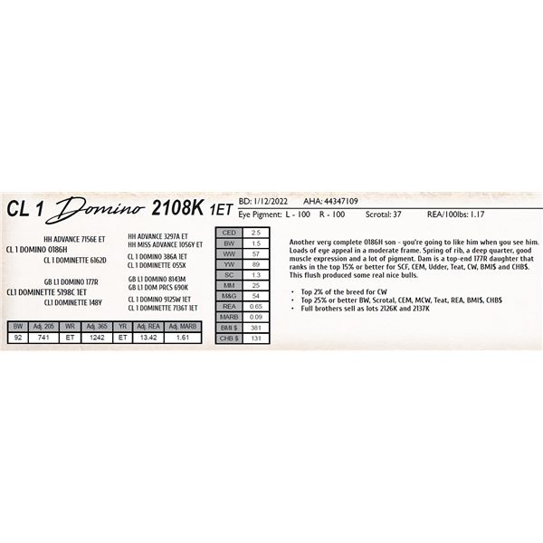 CL 1 DOMINO 2108K 1ET