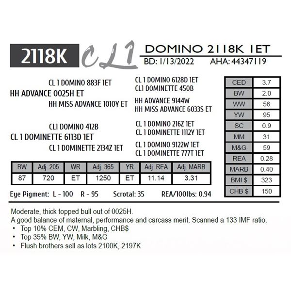CL 1 DOMINO 2118K 1ET