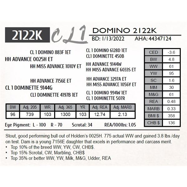 CL 1 DOMINO 2122K