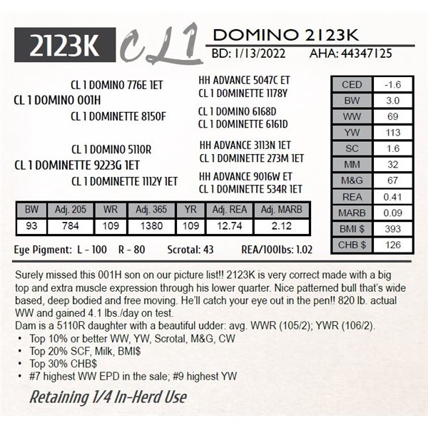 CL 1 DOMINO 2123K