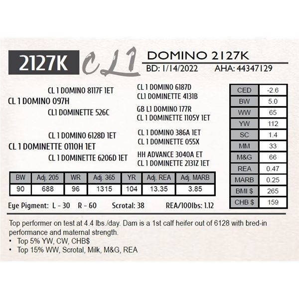 CL 1 DOMINO 2127K