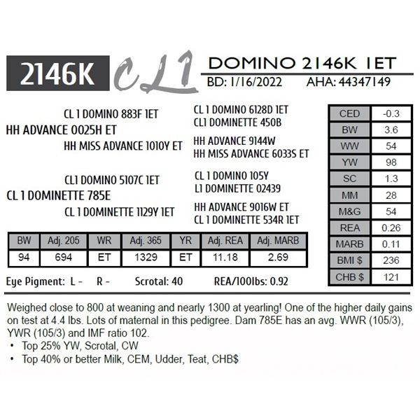 CL 1 DOMINO 2146K 1ET