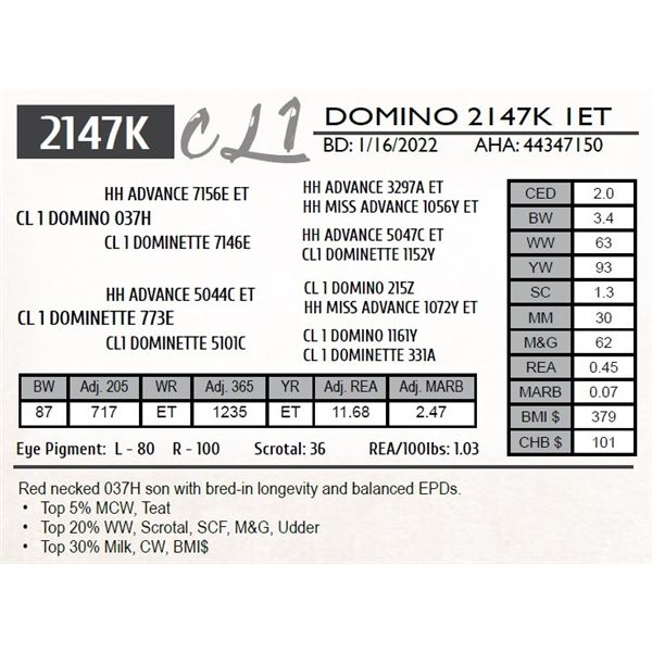 CL 1 DOMINO 2147K 1ET