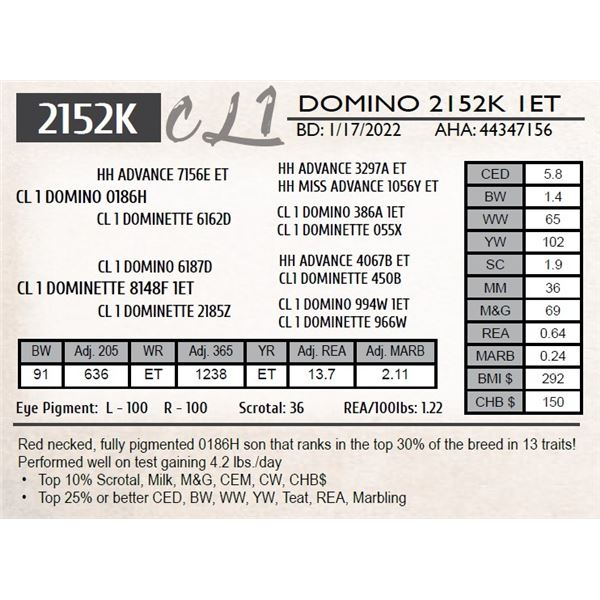 CL 1 DOMINO 2152K 1ET