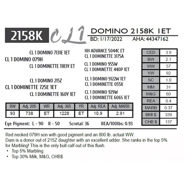 CL 1 DOMINO 2158K 1ET