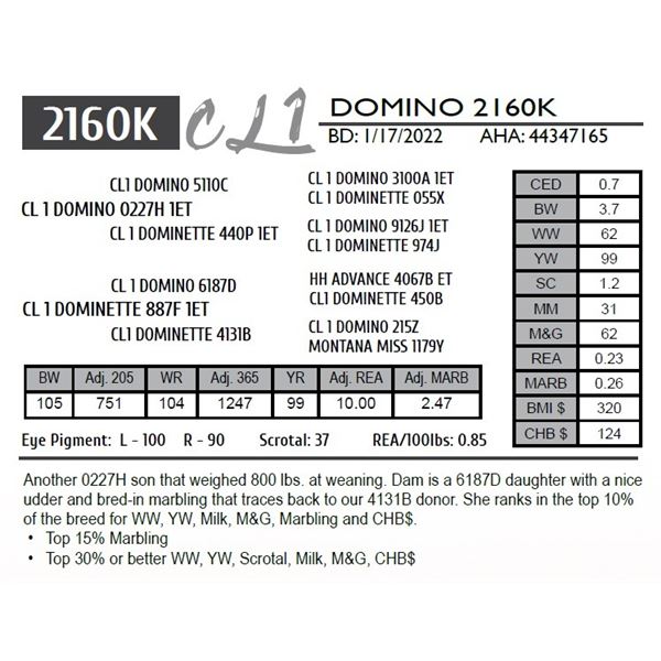 CL 1 DOMINO 2160K