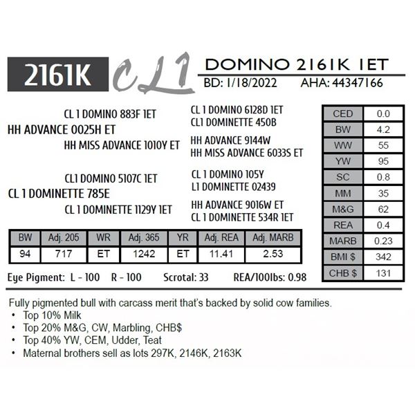 CL 1 DOMINO 2161K 1ET