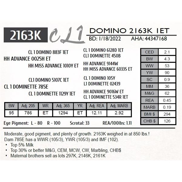 CL 1 DOMINO 2163K 1ET