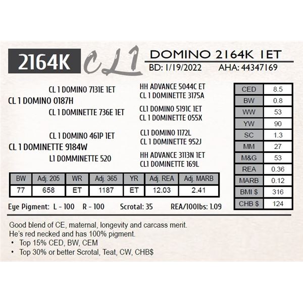 CL 1 DOMINO 2164K 1ET